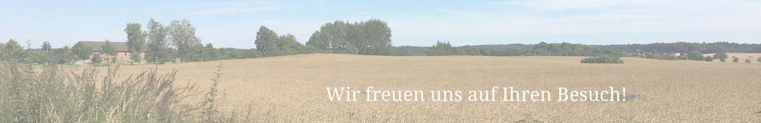 Foto von Landschaft